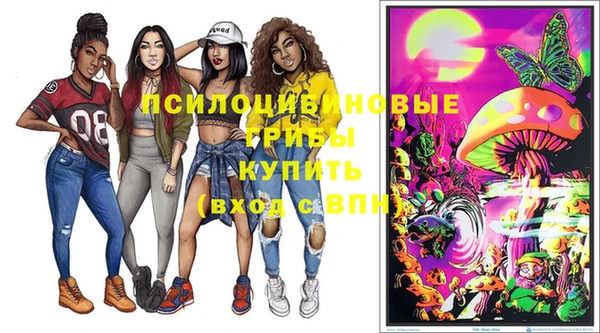 герыч Новозыбков