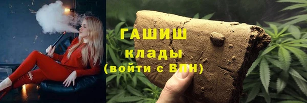 эйфоретик Няндома
