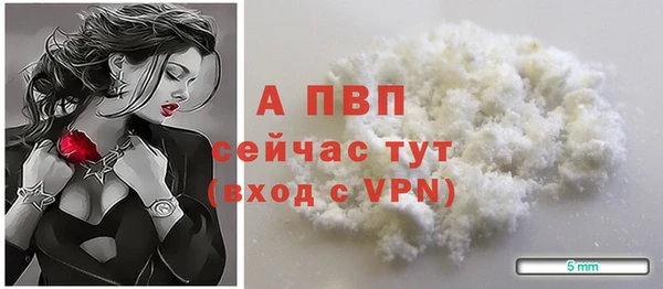 эйфоретик Няндома