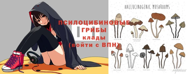 амф Новокубанск