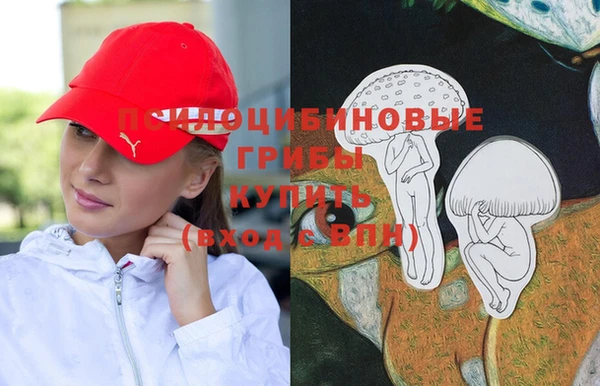 амф Новокубанск