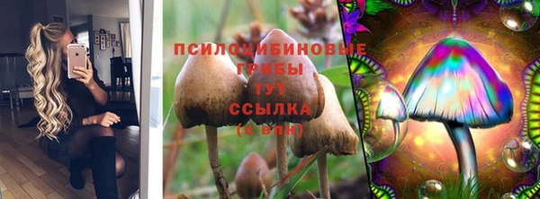 эйфоретик Няндома